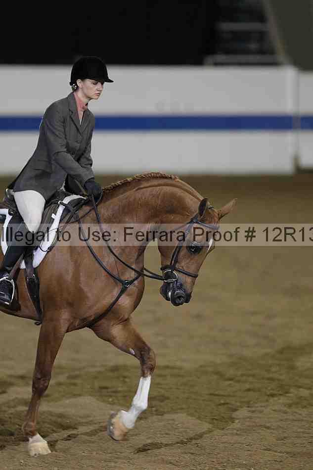 Proof 12r13_3293