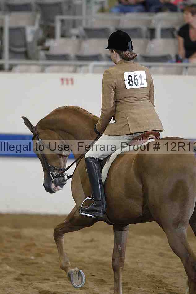 Proof 12r13_3294