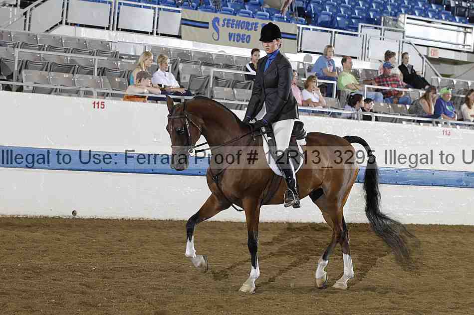 Proof 12r13_3295