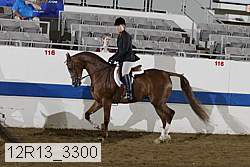 12r13_3300 proof