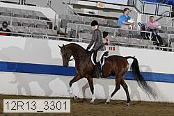 12r13_3301 proof