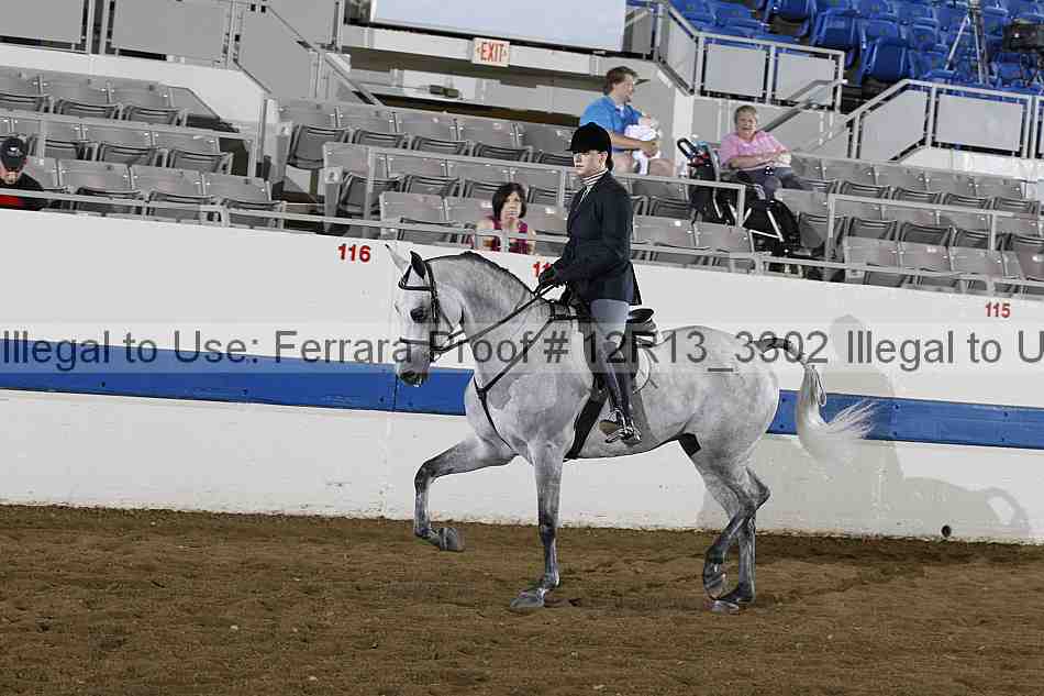 Proof 12r13_3302