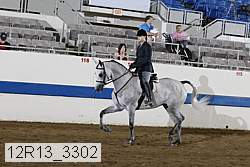 12r13_3302 proof
