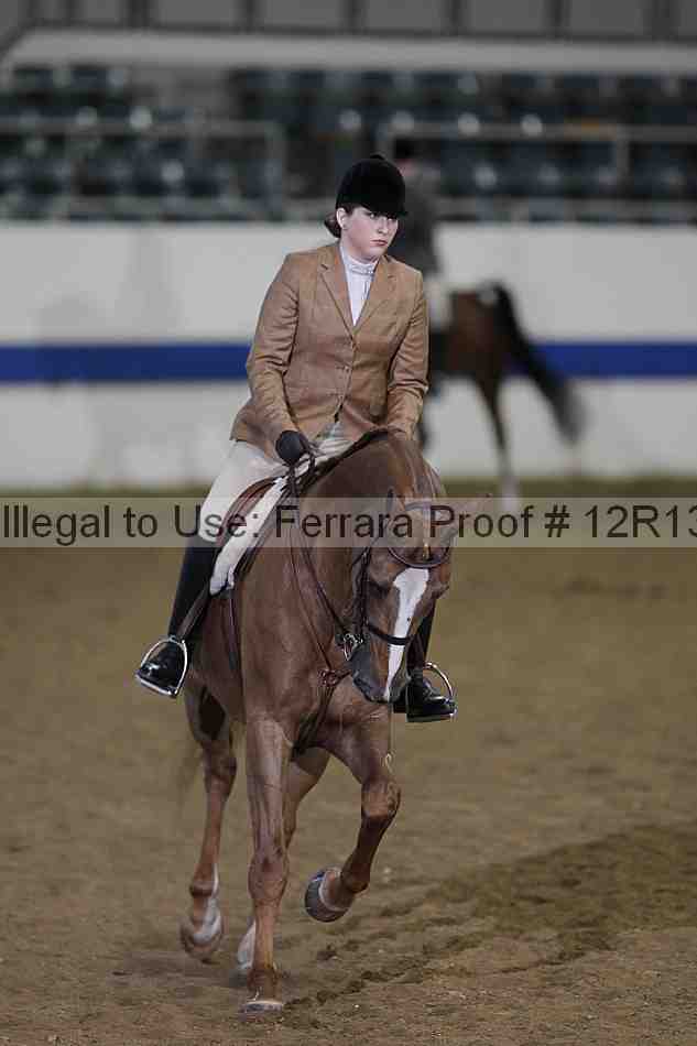 Proof 12r13_3303