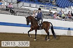 12r13_3305 proof