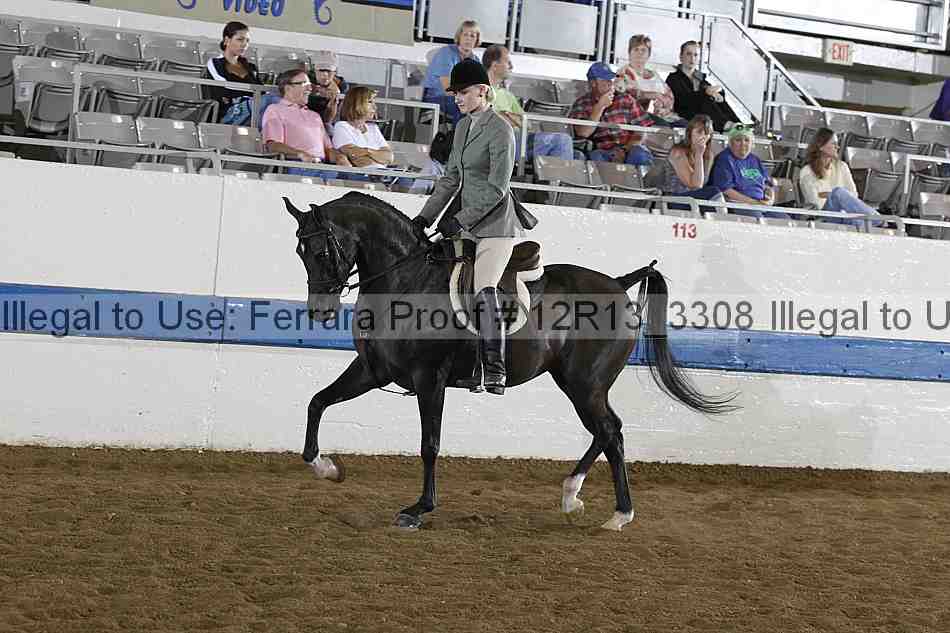 Proof 12r13_3308