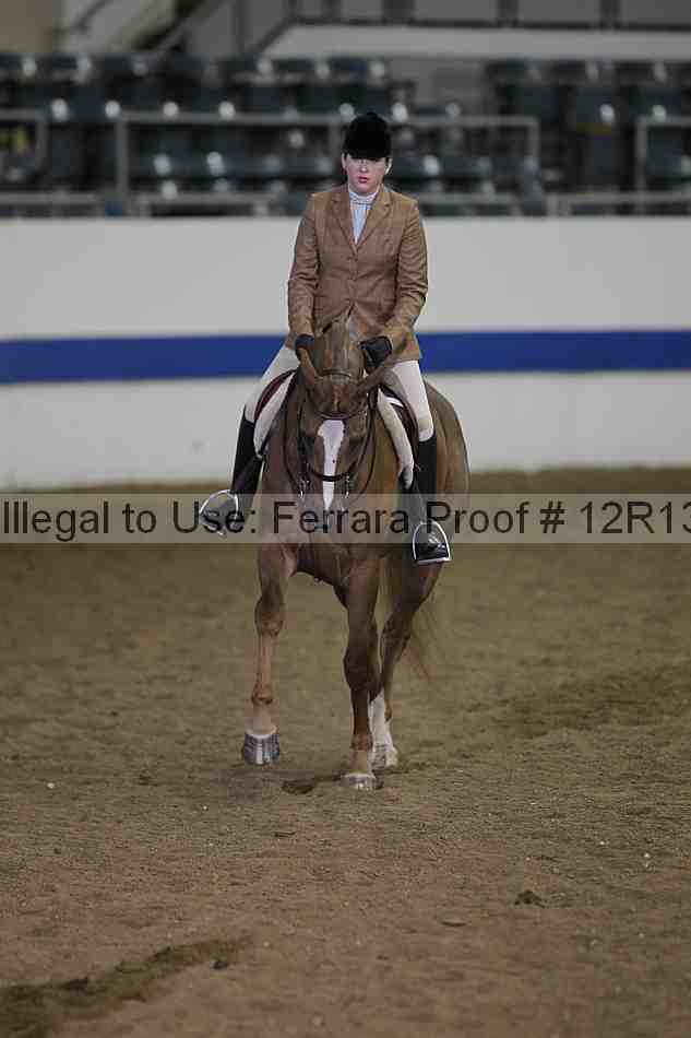 Proof 12r13_3315