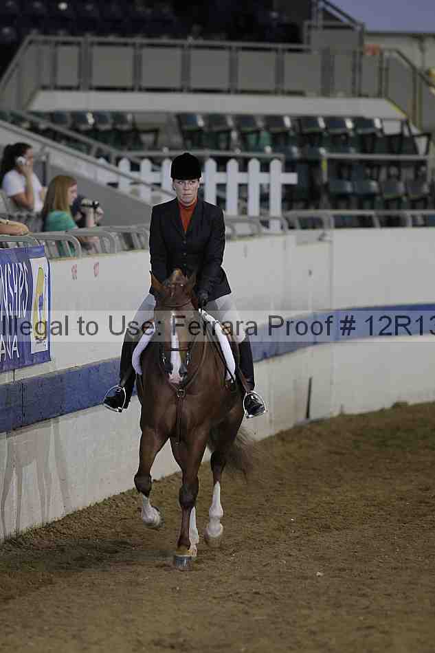 Proof 12r13_3317