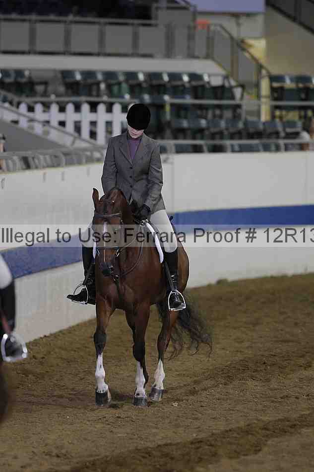 Proof 12r13_3318