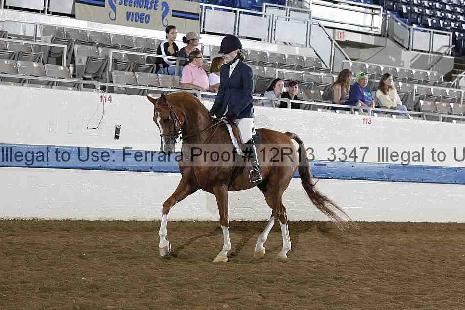Proof 12r13_3347