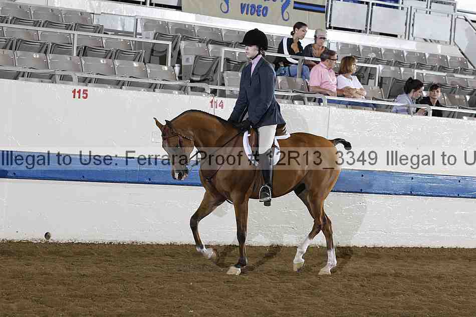 Proof 12r13_3349
