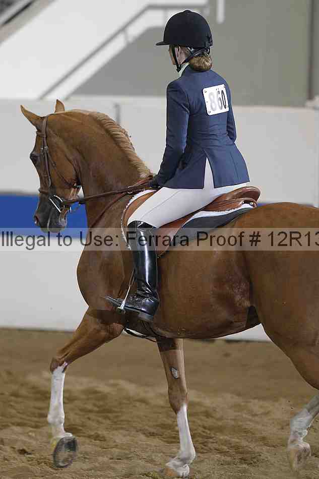 Proof 12r13_3352