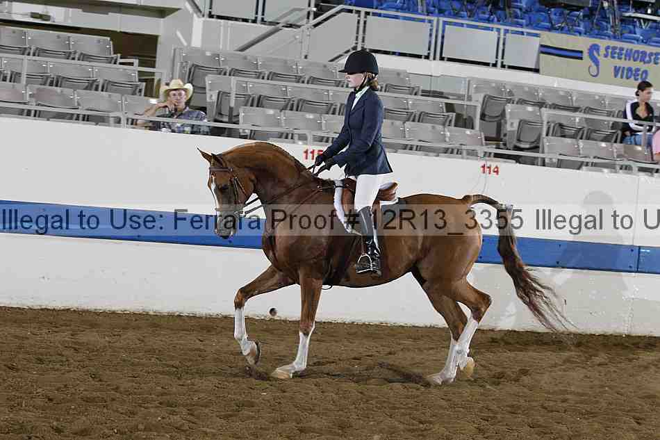 Proof 12r13_3355