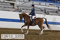 12r13_3355 proof