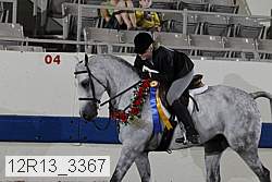 12r13_3367 proof