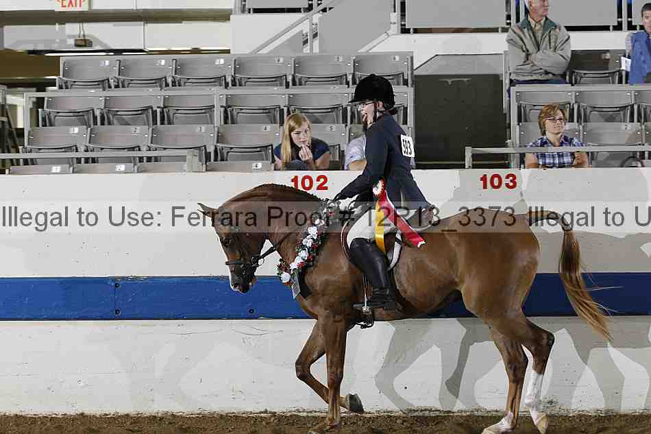 Proof 12r13_3373