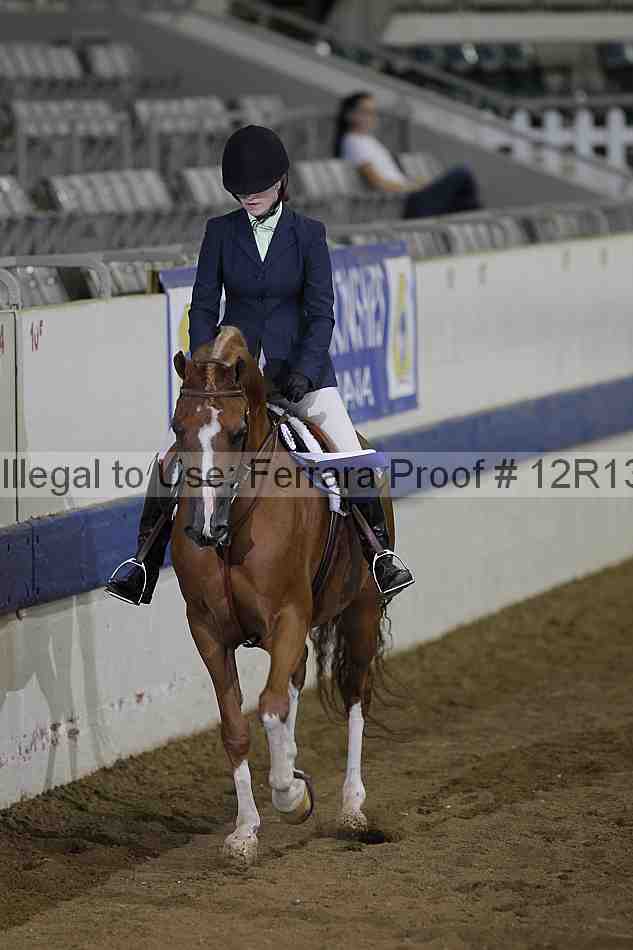 Proof 12r13_3378