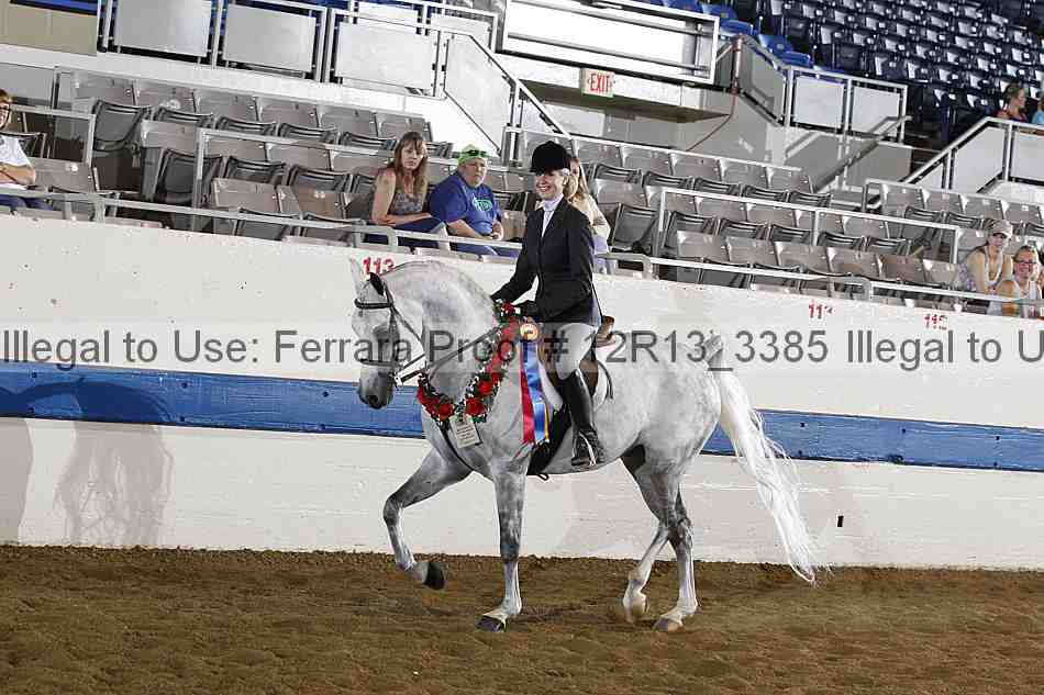 Proof 12r13_3385