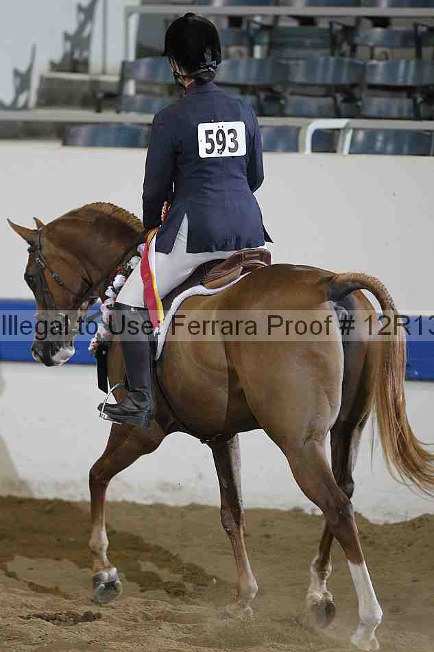 Proof 12r13_3386