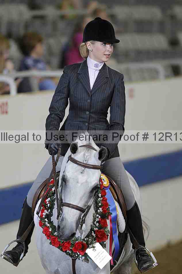 Proof 12r13_3390
