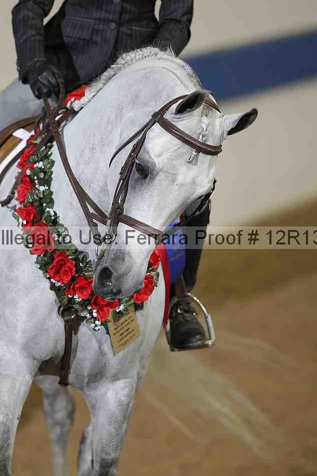 Proof 12r13_3391