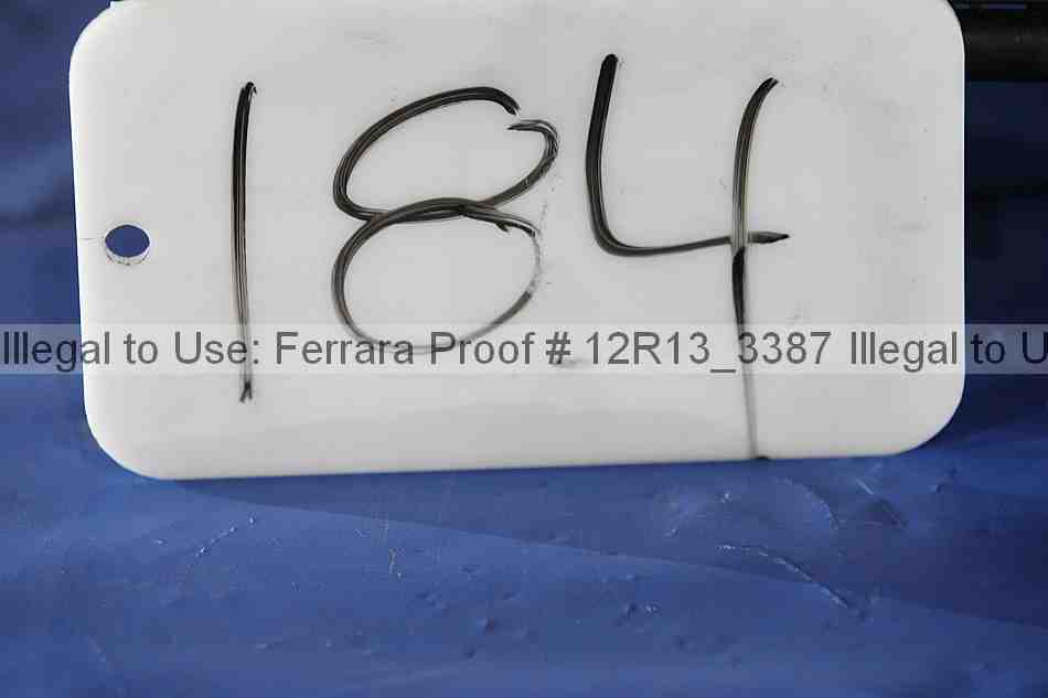 Proof 12r13_3387