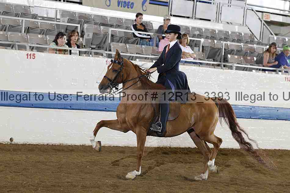 Proof 12r13_3393