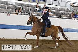 12r13_3393 proof