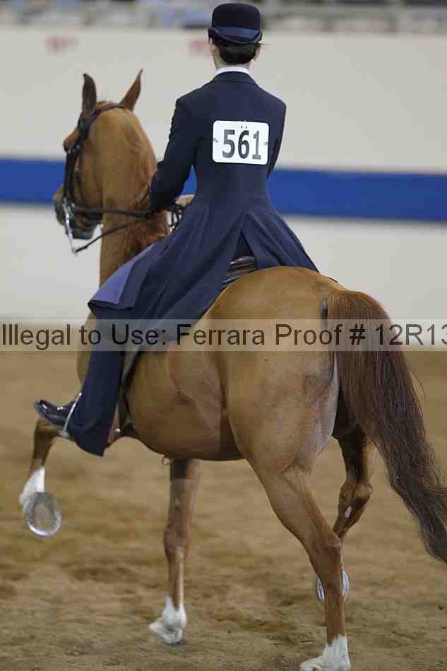 Proof 12r13_3394
