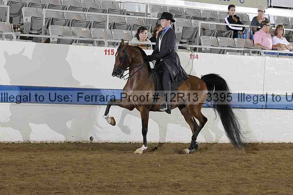 Proof 12r13_3395
