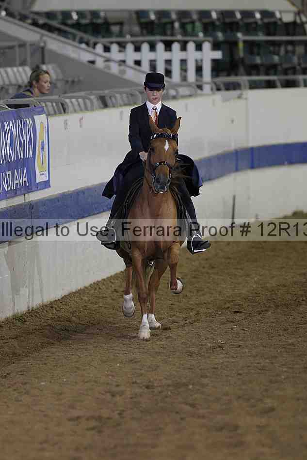 Proof 12r13_3396