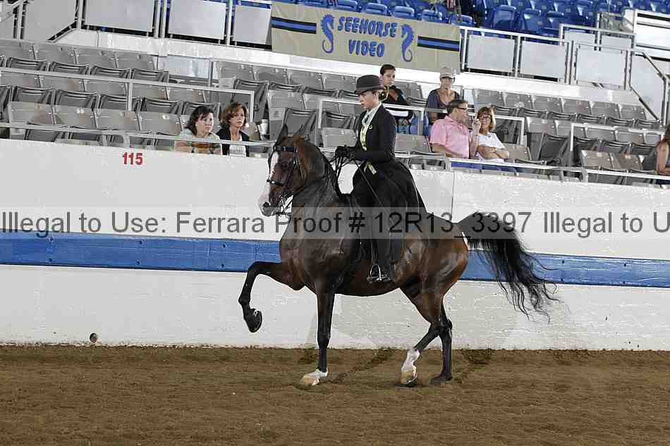 Proof 12r13_3397