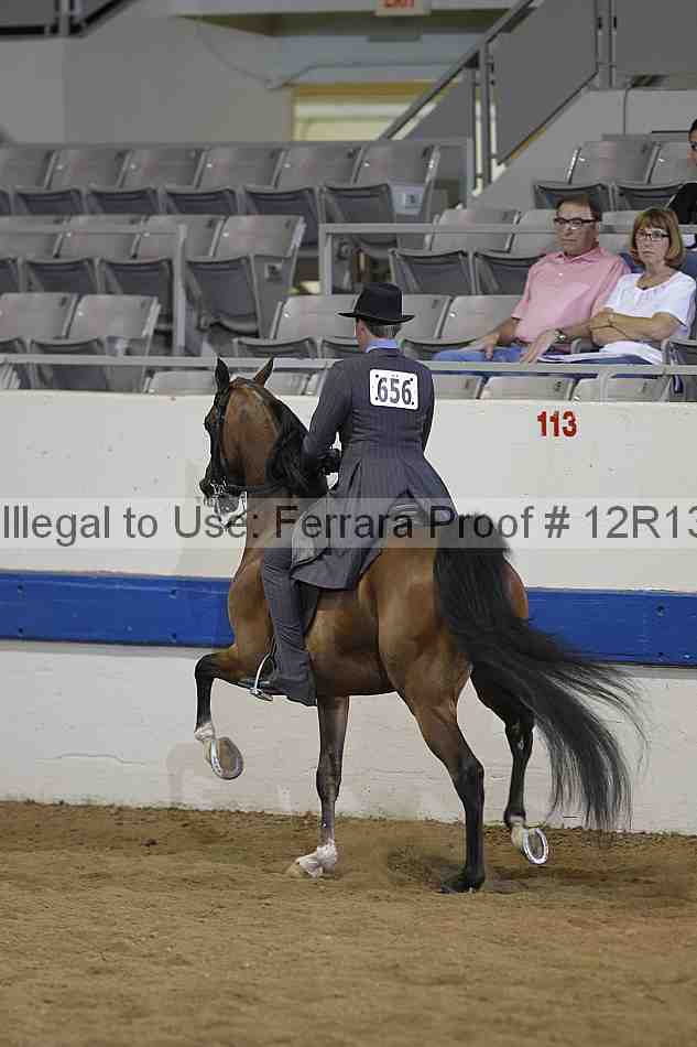 Proof 12r13_3398