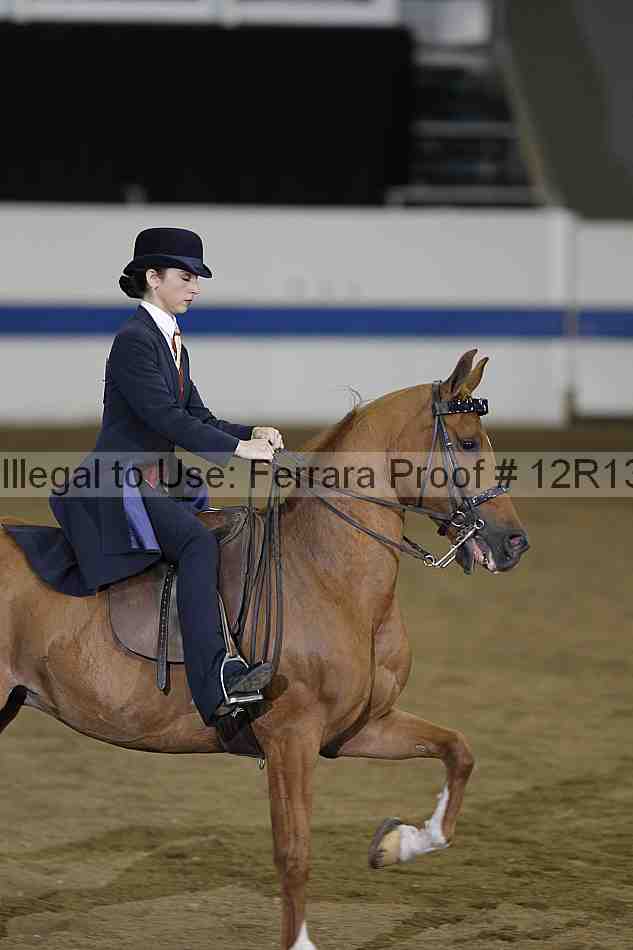 Proof 12r13_3399