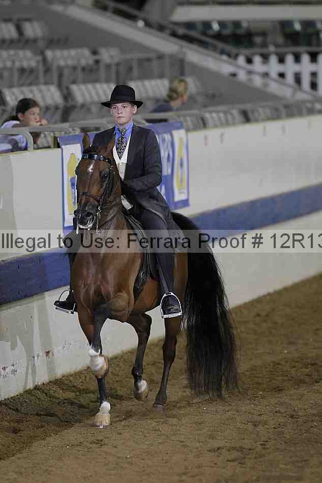 Proof 12r13_3402
