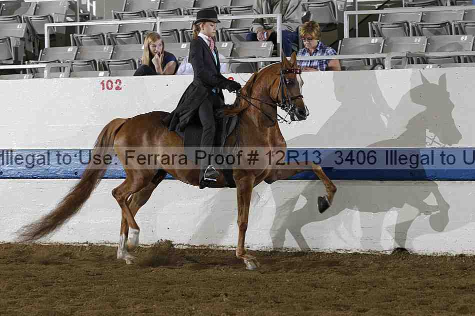 Proof 12r13_3406