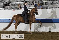 12r13_3406 proof