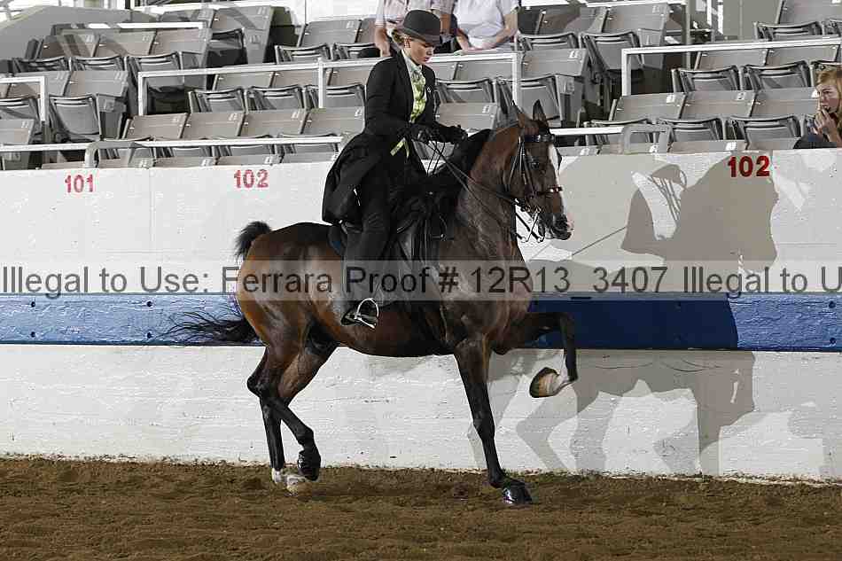 Proof 12r13_3407