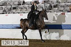 12r13_3407 proof