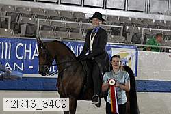 12r13_3409 proof