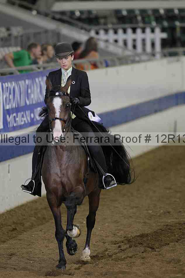 Proof 12r13_3416