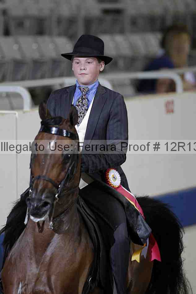 Proof 12r13_3419