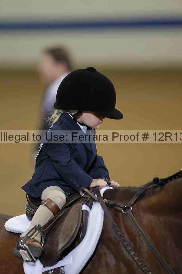 Proof 12r13_3476