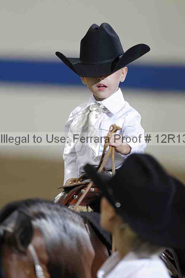 Proof 12r13_3488