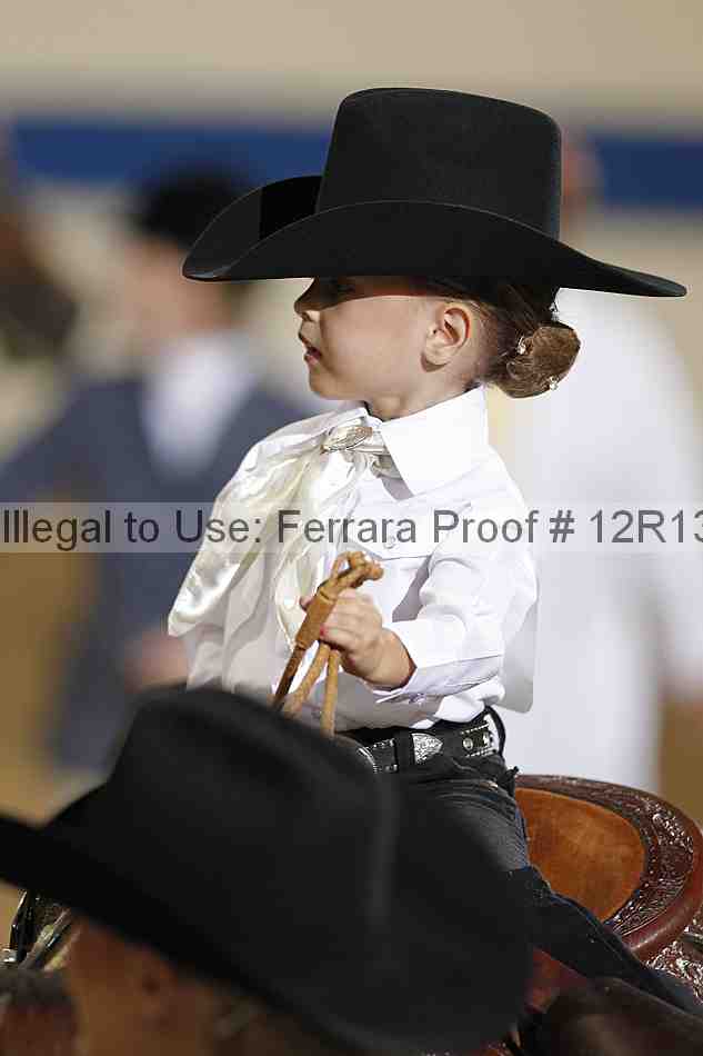 Proof 12r13_3489