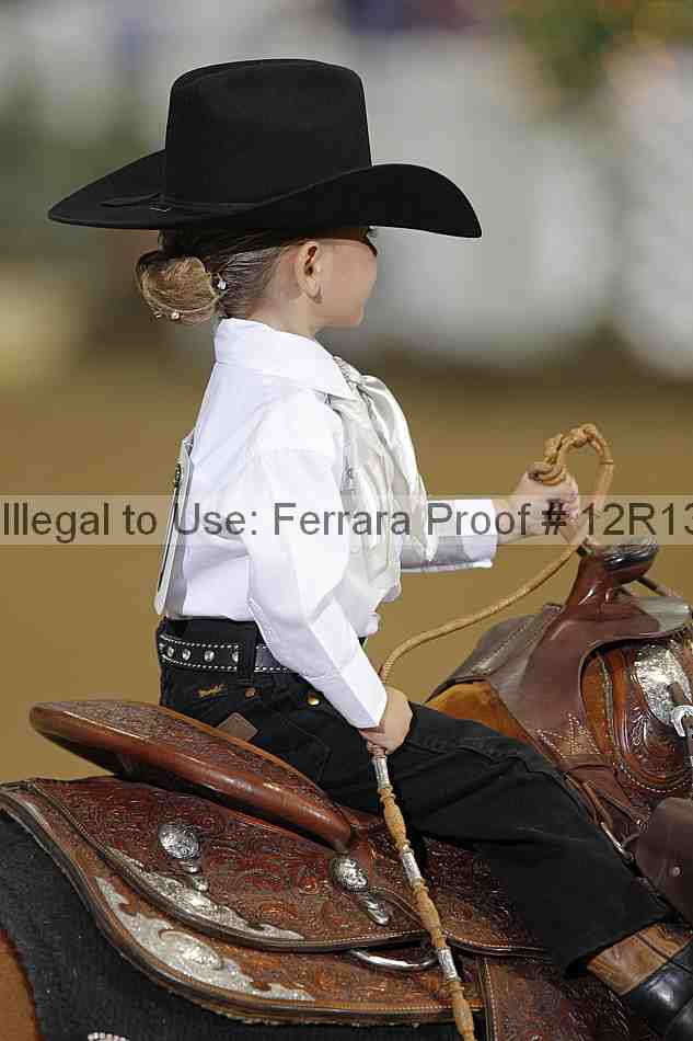 Proof 12r13_3493