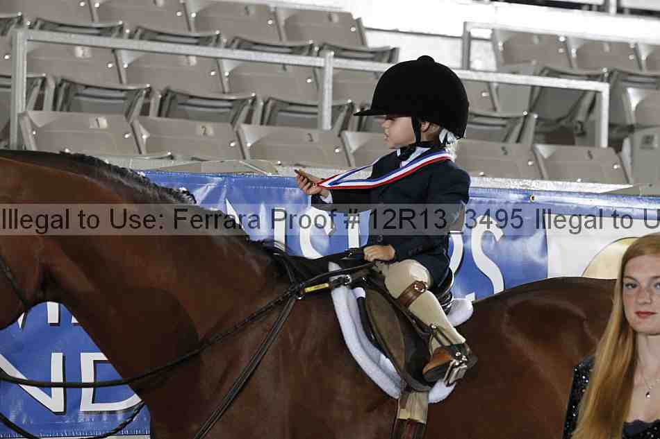 Proof 12r13_3495