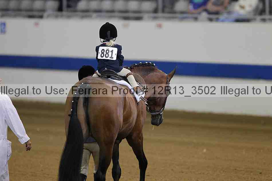Proof 12r13_3502