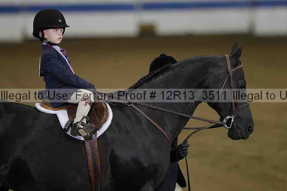 Proof 12r13_3511