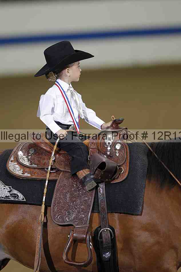 Proof 12r13_3517